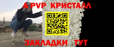 2c-b Кингисепп
