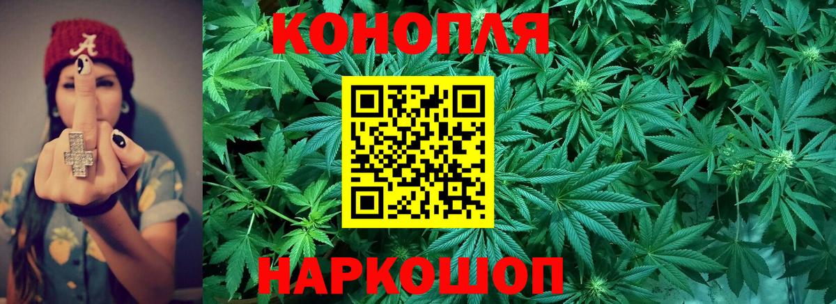 Марихуана марихуана  Бошки марихуана Bruce Banner  Кизилюрт  Вход с VPN 
